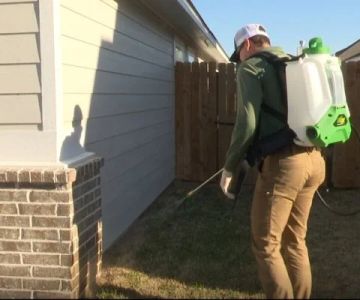 What to Do Immediately After Spotting a Pest in Your Home: Essential First Steps