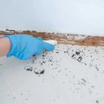 How to Seal Entry Points in Foundation Cracks