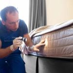 How to Prevent Pest Spread Between Units in Apartments: Essential Tips for Apartment Residents