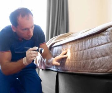 How to Prevent Pest Spread Between Units in Apartments: Essential Tips for Apartment Residents