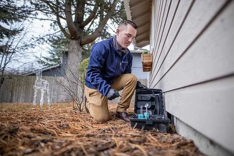 How to Keep Crawlspaces Ventilated & Pest-Resistant: A Complete Guide