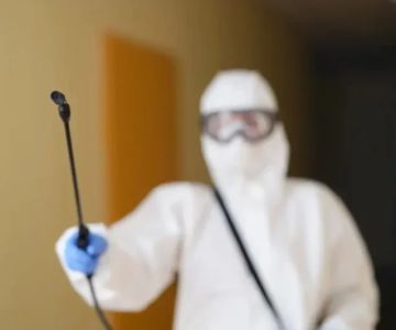 How to Use Low-Toxic Sprays Safely: A Complete Guide
