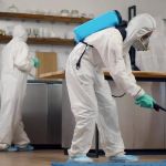 What Happens During a Professional Pest Control Visit: A Complete Guide