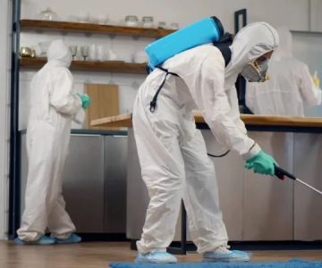 What Happens During a Professional Pest Control Visit: A Complete Guide