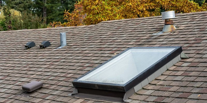 How to Deal With Pest Intrusions Through Roof Vents: A Complete Guide