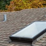 How to Deal With Pest Intrusions Through Roof Vents: A Complete Guide