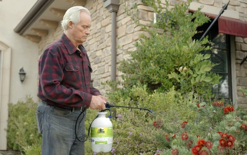 The Best Eco-Friendly Pest Control Products You Can Buy