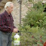 The Best Eco-Friendly Pest Control Products You Can Buy