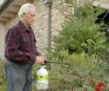 The Best Eco-Friendly Pest Control Products You Can Buy