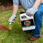 How to Control Fire Ants in Your Yard: Effective Methods and Tips