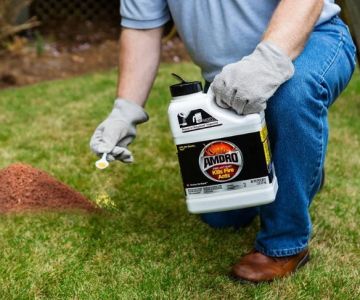 How to Control Fire Ants in Your Yard: Effective Methods and Tips