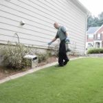 How to Prevent Pest Intrusion via Landscaping: Tips and Strategies