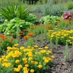 How to Create a Pest-Resistant Garden