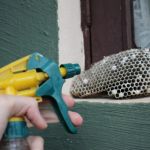 How to Keep Wasps Away From Garage Openings: Effective Tips and Solutions
