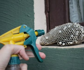 How to Keep Wasps Away From Garage Openings: Effective Tips and Solutions