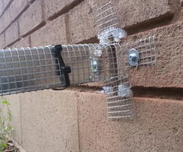 How to Block Rodent Access Around Foundations