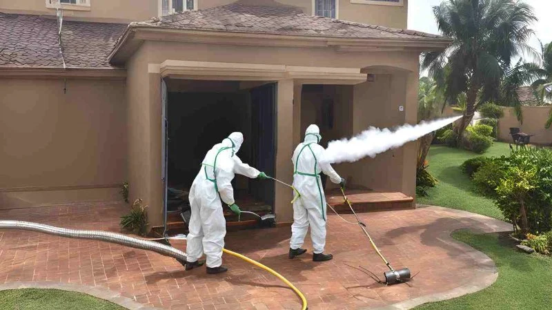 How to Safely Use Fumigation Methods for Pest Control