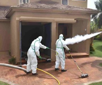 How to Safely Use Fumigation Methods for Pest Control