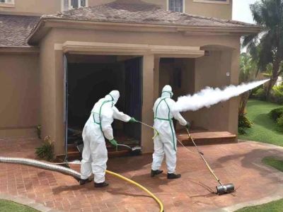 How to Safely Use Fumigation Methods for Pest Control