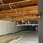 How to Keep Pests Out of Your Crawl Space: Expert Tips for Prevention