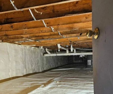 How to Keep Pests Out of Your Crawl Space: Expert Tips for Prevention