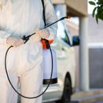 How to Prevent Pest Infestations in Storage Units | Expert Tips