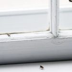 How to Keep Insects Out While Letting in Fresh Air