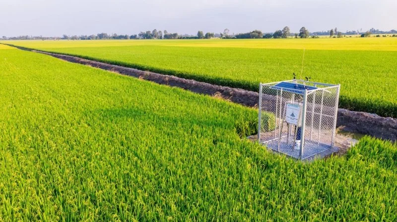 How to Use Smart Devices for Insect Alerts