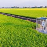 How to Use Smart Devices for Insect Alerts