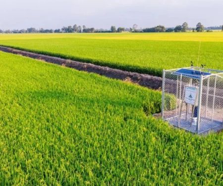 How to Use Smart Devices for Insect Alerts