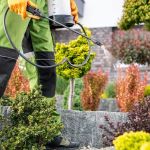 How to Reduce Pest Attraction Through Landscaping