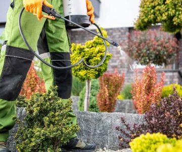 How to Reduce Pest Attraction Through Landscaping