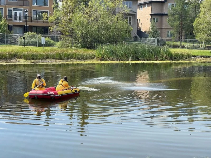 How to Deal With Pest Pressures Near Water Bodies