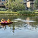 How to Deal With Pest Pressures Near Water Bodies