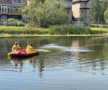 How to Deal With Pest Pressures Near Water Bodies