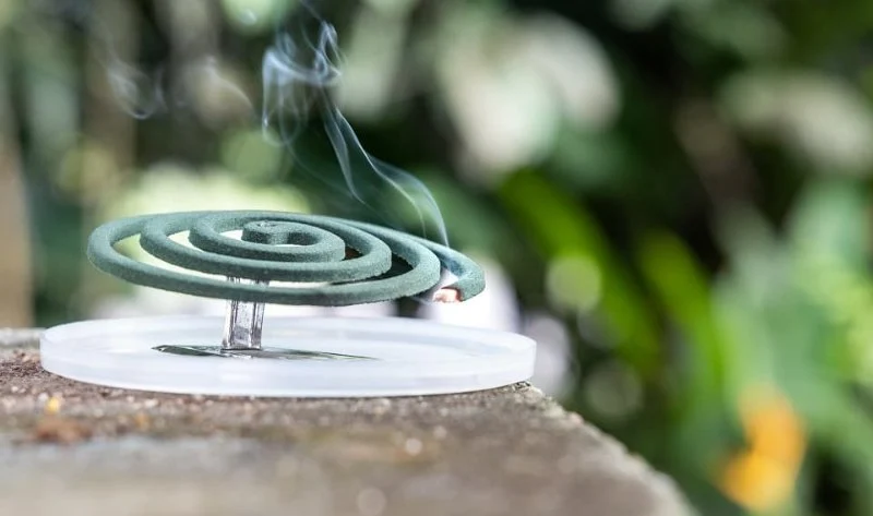 How to Stop Mosquitoes Before They Breed in Your Yard