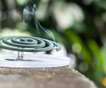 How to Stop Mosquitoes Before They Breed in Your Yard