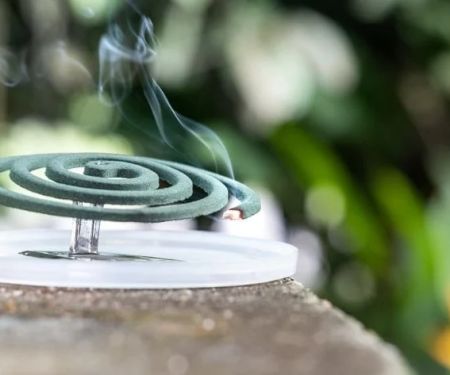 How to Stop Mosquitoes Before They Breed in Your Yard