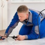 How to Choose Between Pest Control Contracts: A Comprehensive Guide