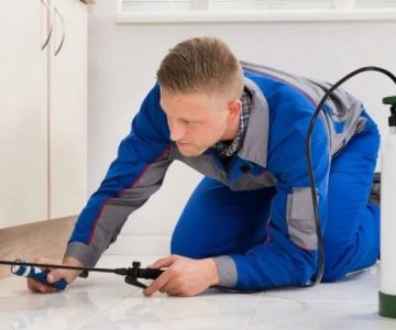 How to Choose Between Pest Control Contracts: A Comprehensive Guide