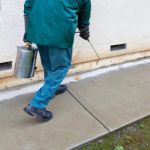 How to Prevent Pest Return After Rain