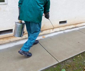 How to Prevent Pest Return After Rain