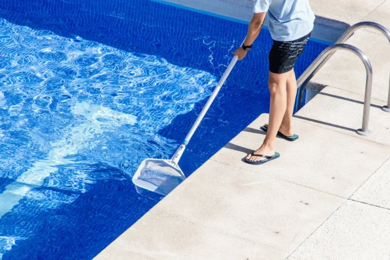 How to Prevent Pests Around Pools and Water Features