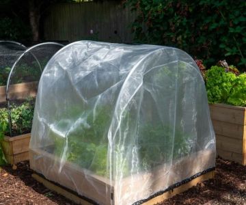 How to Protect Seasonal Flower Beds from Insects: Expert Tips and Techniques