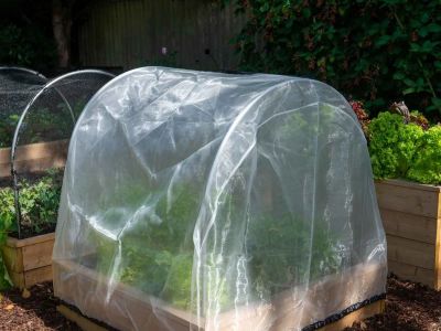 How to Protect Seasonal Flower Beds from Insects: Expert Tips and Techniques