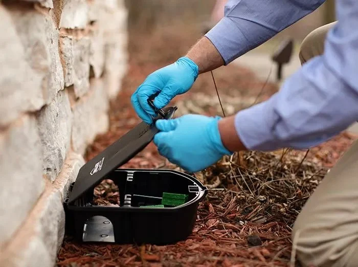 How to Monitor Pest Movement Outdoors