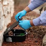 How to Monitor Pest Movement Outdoors