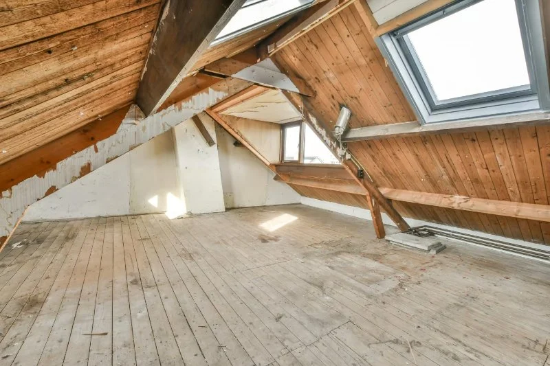 How to Use Traps in Basements vs Attics: Key Differences and Tips