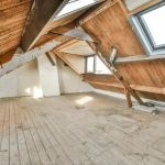 How to Use Traps in Basements vs Attics: Key Differences and Tips