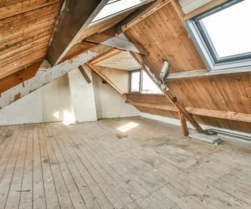 How to Use Traps in Basements vs Attics: Key Differences and Tips